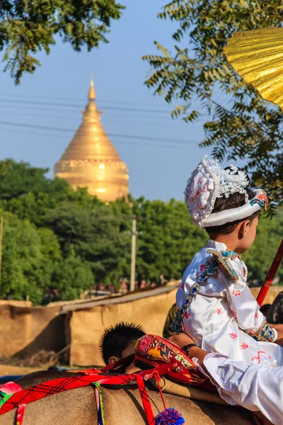 Become a novice on horse ,  Bagan in Myanmar (Burmar — Stock Photo, Image