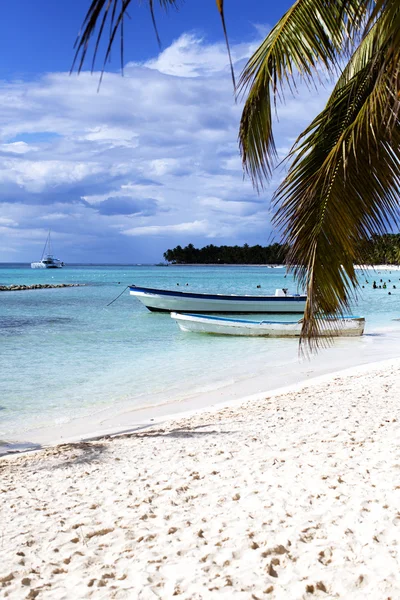 Isla Saona — Stock Photo, Image