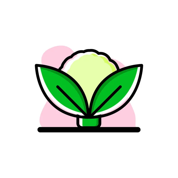 Cauliflower Conceptual Vector Icon Illustration Design Eps10 — Stock Vector
