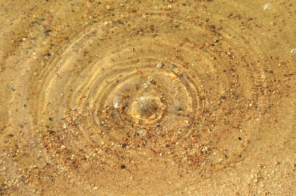 Suda daireler çizer