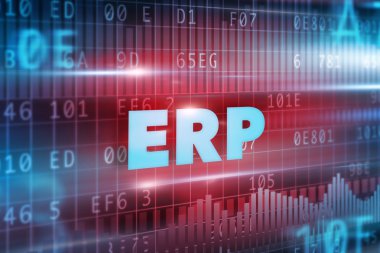 ERP kavramı