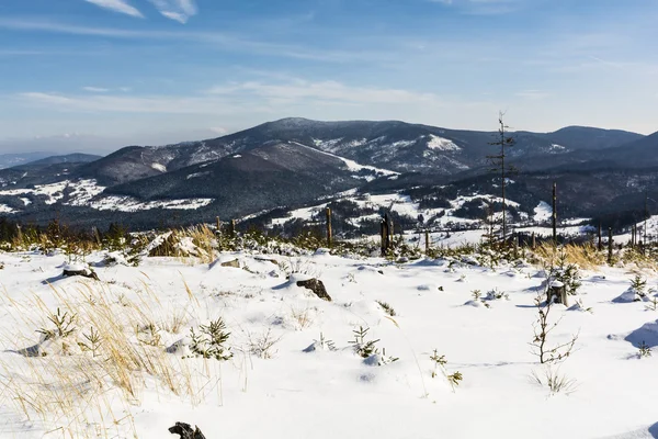 Panorama mountain winter. — Stock Photo, Image