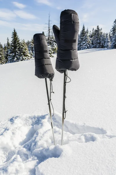 Daunenhandschuhe für Trekkingstöcke. — Stockfoto