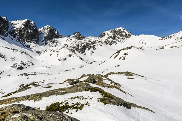 Alrededor del valle en invierno . —  Fotos de Stock