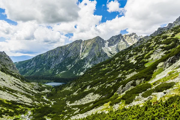 Lago en el valle en las montañas Tatra en Eslovaquia . — Foto de Stock