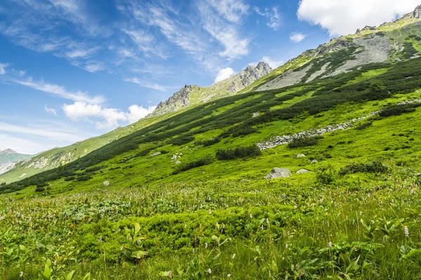 Groene vallei in de bergen. — Stockfoto