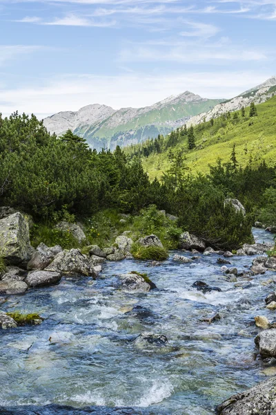 Río en las montañas. — Foto de Stock