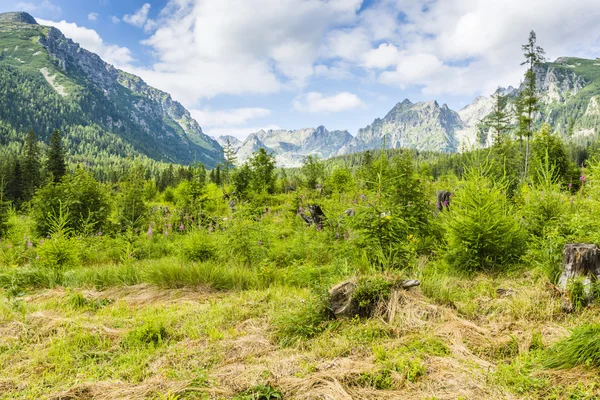 Liggande Tatra toppar. — Stockfoto