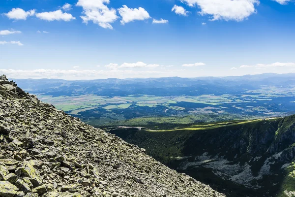 Lowlands in the colors of summer. — Stock Photo, Image