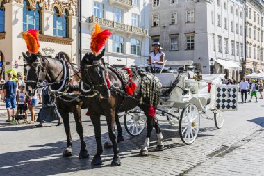 Dizginleri drosky arkasındaki kadın.