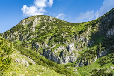 Yeşil çimenler, çalılar ve ağaçlar arasındaki güzel beyaz kireçtaşı ve dolomit kayaları. Bahar renklerinde dağın zirvesinin güneşli bir gününde harika bir manzara.