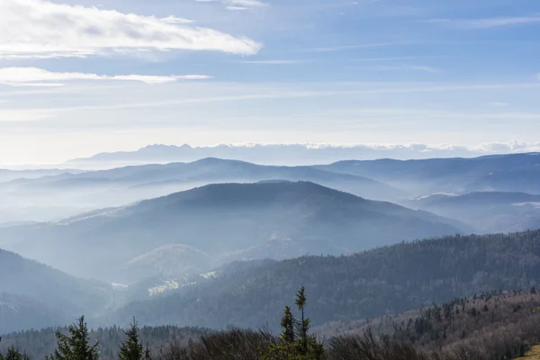 Panorama — Zdjęcie stockowe