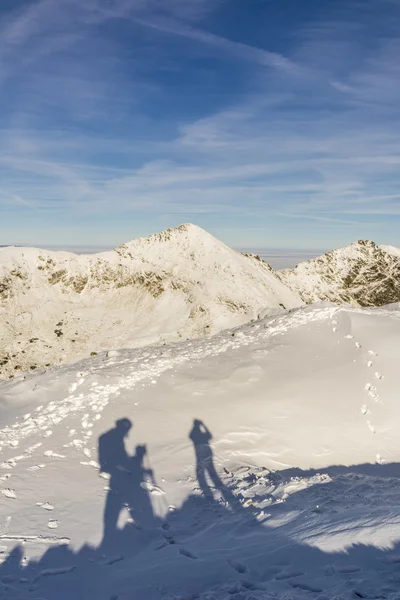 Sombras en la nieve —  Fotos de Stock