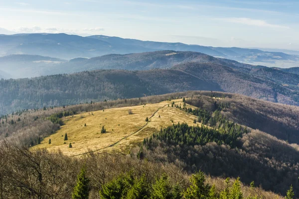 Glade Mountain — Stock Photo, Image