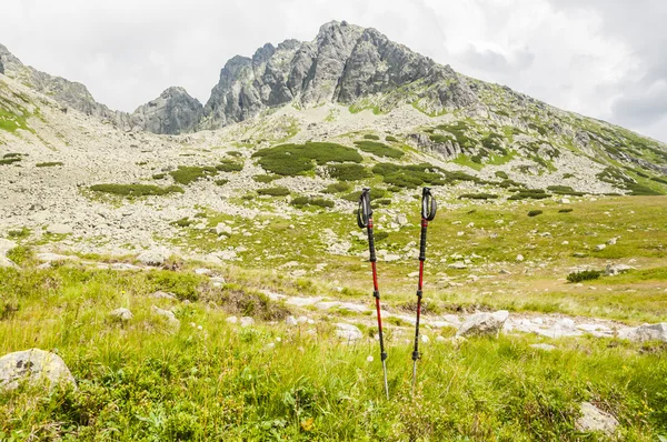 Arka planda dağların trekking direkleri