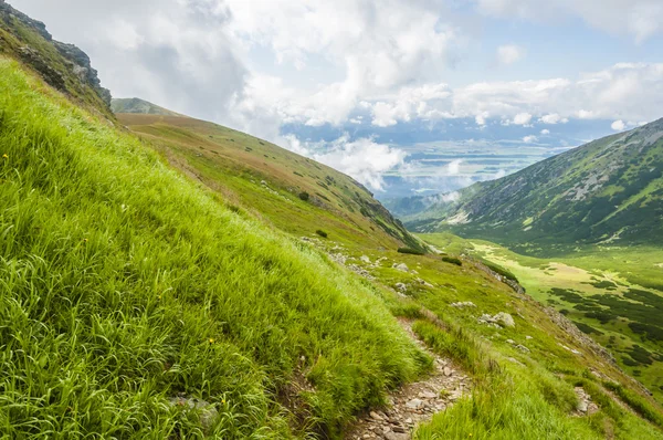 Groene vallei en de heuvels — Stockfoto