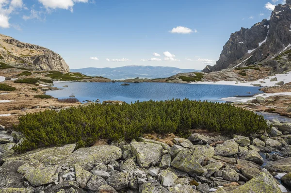 Vackra dammen i bergen — Stockfoto