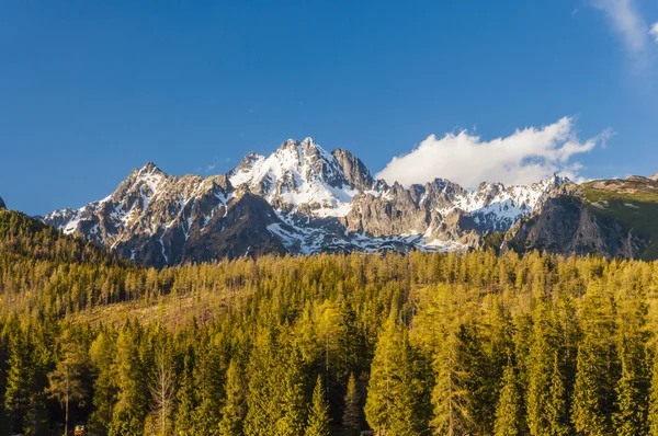 Magnifik panoramautsikt över bergen — Stockfoto
