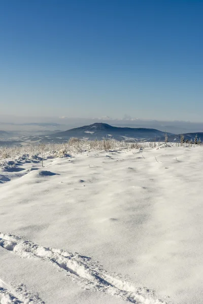 Paisaje invierno — Foto de Stock