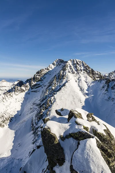 Ice Peak — Stock Photo, Image