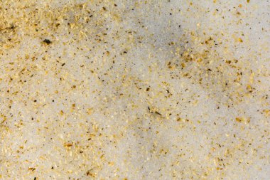 Kar üzerinde talaşı