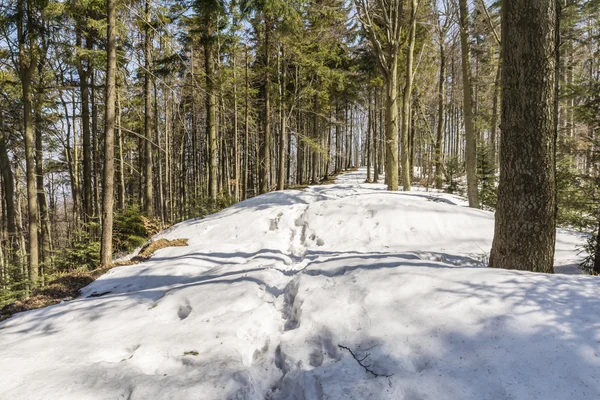 Kleine Schneeverwehungen auf dem Trail — Stockfoto