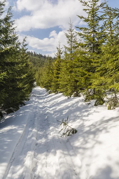 Frühling und Winter — Stockfoto