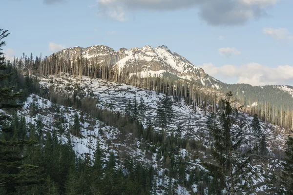 Kominiarski Wierch (Kominy Tylkowe) - toppen i Tatras västra i Polen — Stockfoto