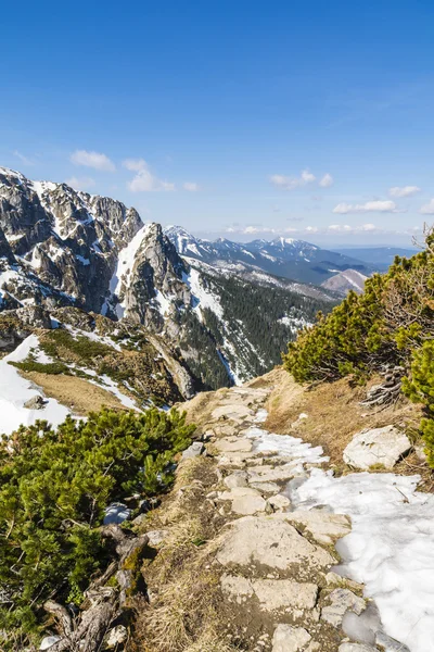 Mountain trail — Stock Photo, Image