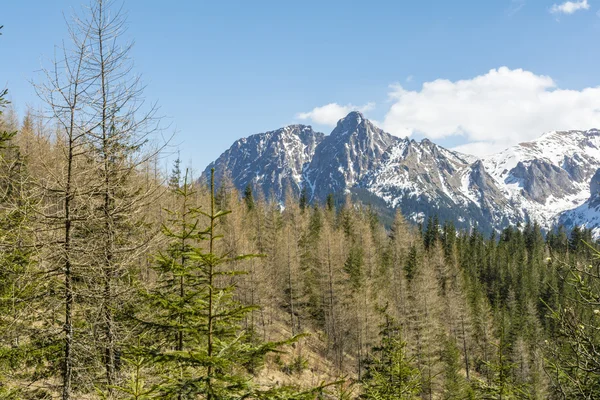 Giewont is a mountain massif in the Tatra Mountains — Stock Photo, Image