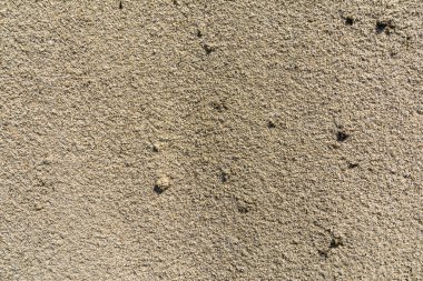 Gevşek bir tortul kumdur