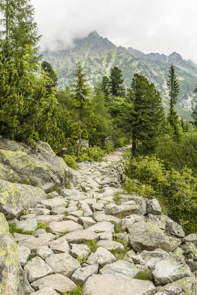 Wandelen in de bergen — Stockfoto