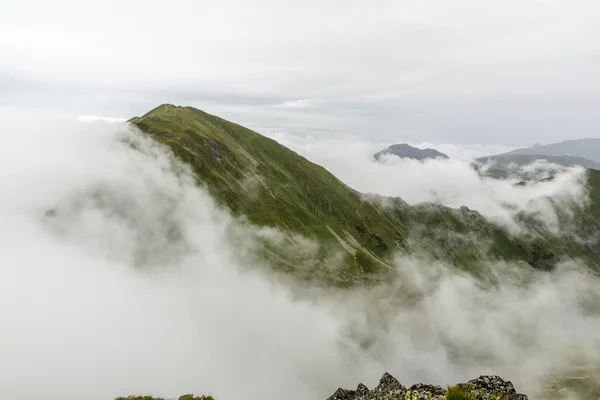 Summit in rain and clouds — Stock Photo, Image