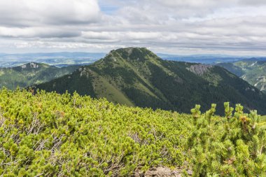 Zirve Bobrowiec (Bobrovec) crags Mnichy Chocholowskie ile