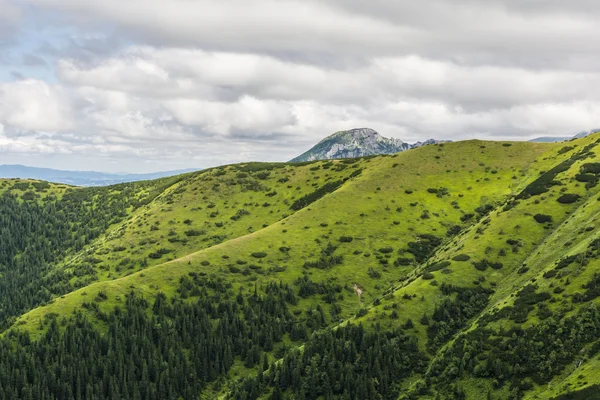 Summit emerges over the green ridge — Stock Photo, Image