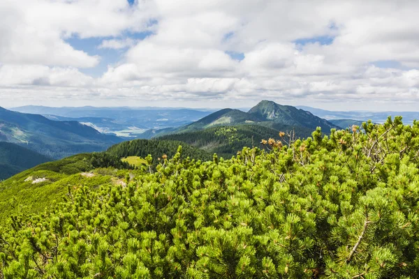 Blick auf die Berge und Täler — Stockfoto