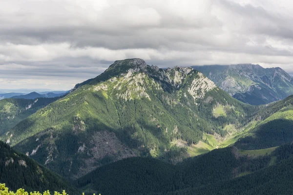 아름 다운 산 Kominiarski Wierch — 스톡 사진