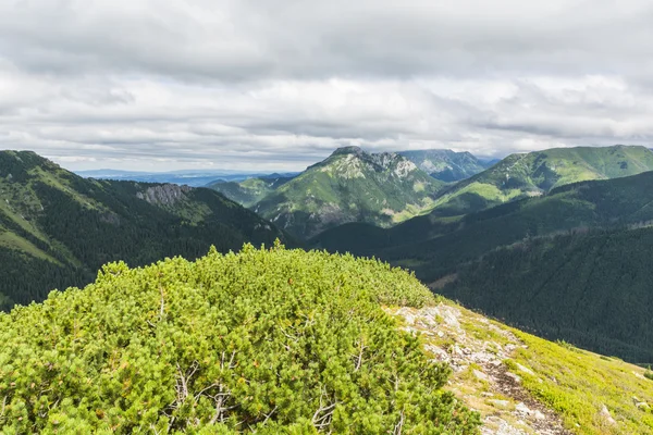 Paisaje de las montañas Tatra occidentales en Polonia — Foto de Stock