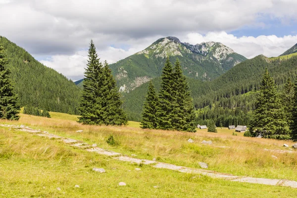 Glade Polana Chocholowska dat ik Kominiarski Wierch top — Stockfoto