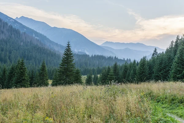 Paesaggio montano serata tempo — Foto Stock