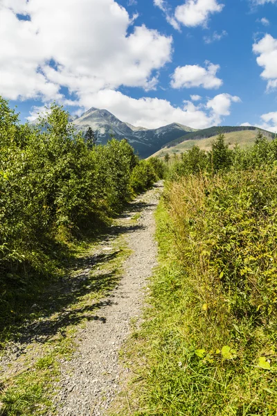 Trail with mountains in the background — Stock Photo, Image