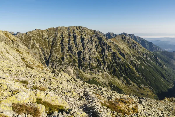 Picos en abrigo de otoño —  Fotos de Stock