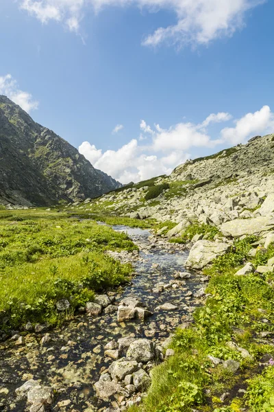 Stream i dalen — Stockfoto