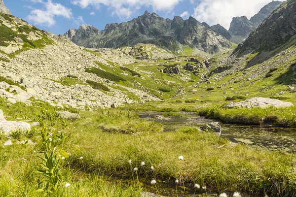 Dolina w Tatry - Dolina Zlomisk (Zlomiska, Zlomiskova dolina, Zlomiska, dolina Zlomisk) — Zdjęcie stockowe