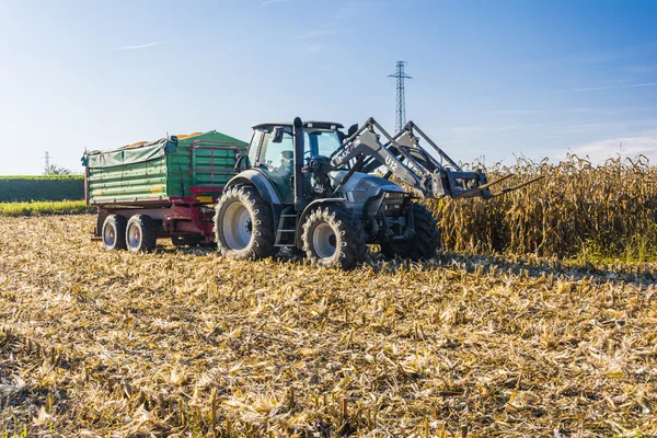 Branded trekker met een groene trailer op een gebied van maïs — Stockfoto