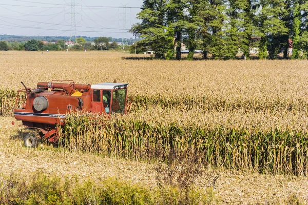 Menggabungkan pemanen selama panen jagung — Stok Foto