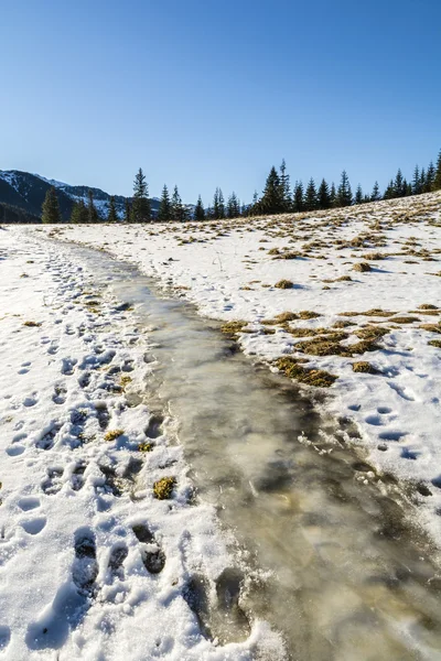 Ice track in a clearing in the mountains — Stock Photo, Image