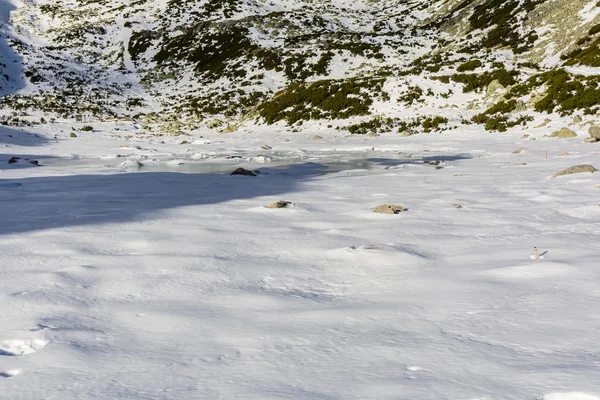 Cracked sheet of ice. — Stock Photo, Image