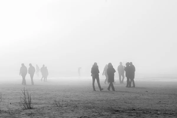People in coats walking along foggy beach