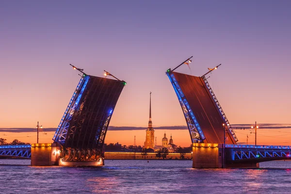 Saray asma köprü, beyaz gece Saint Petersburg, Rusya Federasyonu